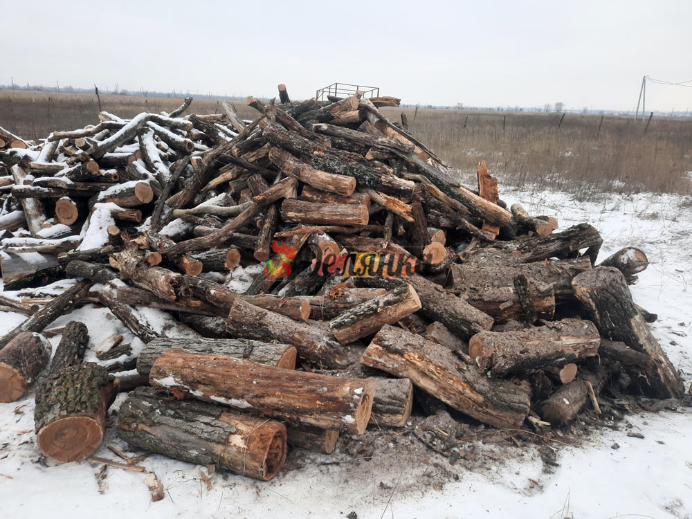 заказать дрова метровку в Крыму