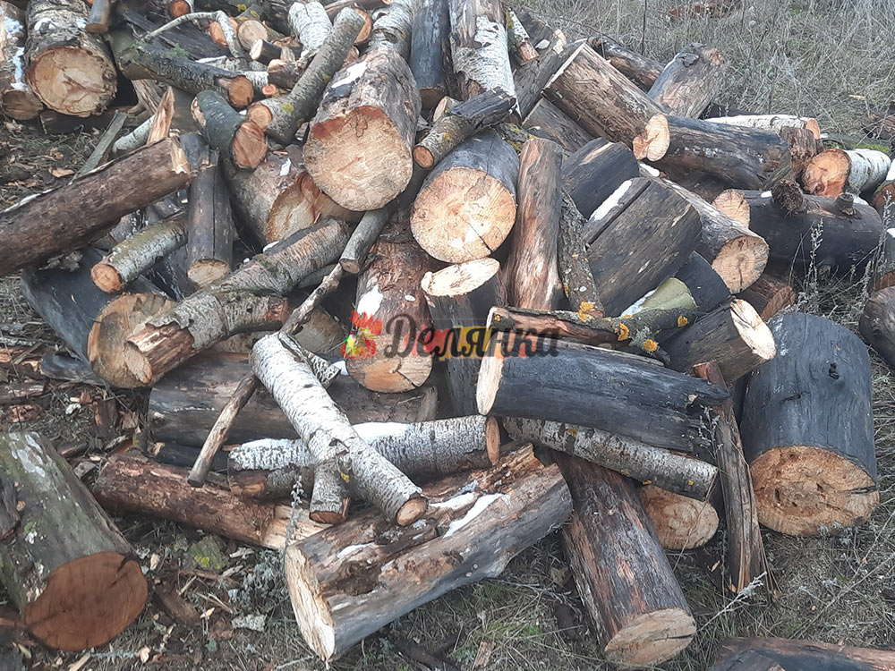 дрова сосновые в Крыму колотые