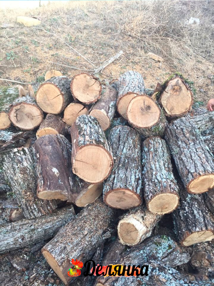 дрова твердые породы в Крыму не колотые