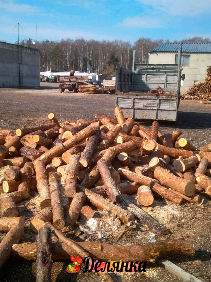 Сосновые дрова в Ялте